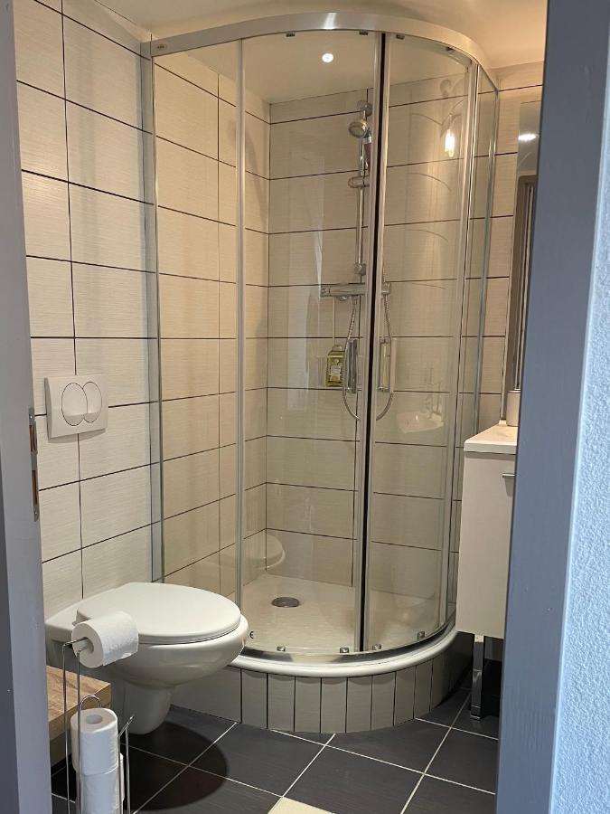 Studio Sous Les Toits Annecy Centre-Ville Ngoại thất bức ảnh